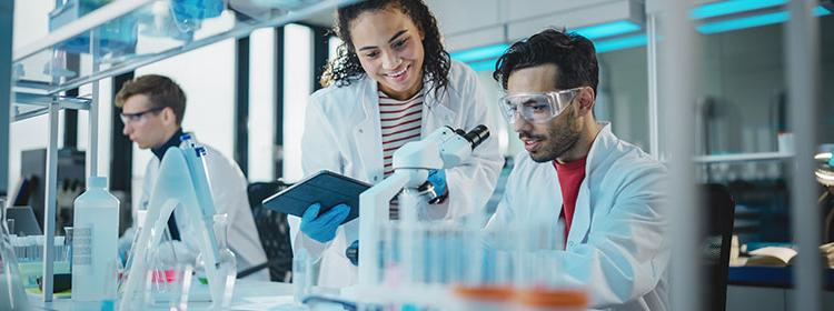 People working in a medical lab